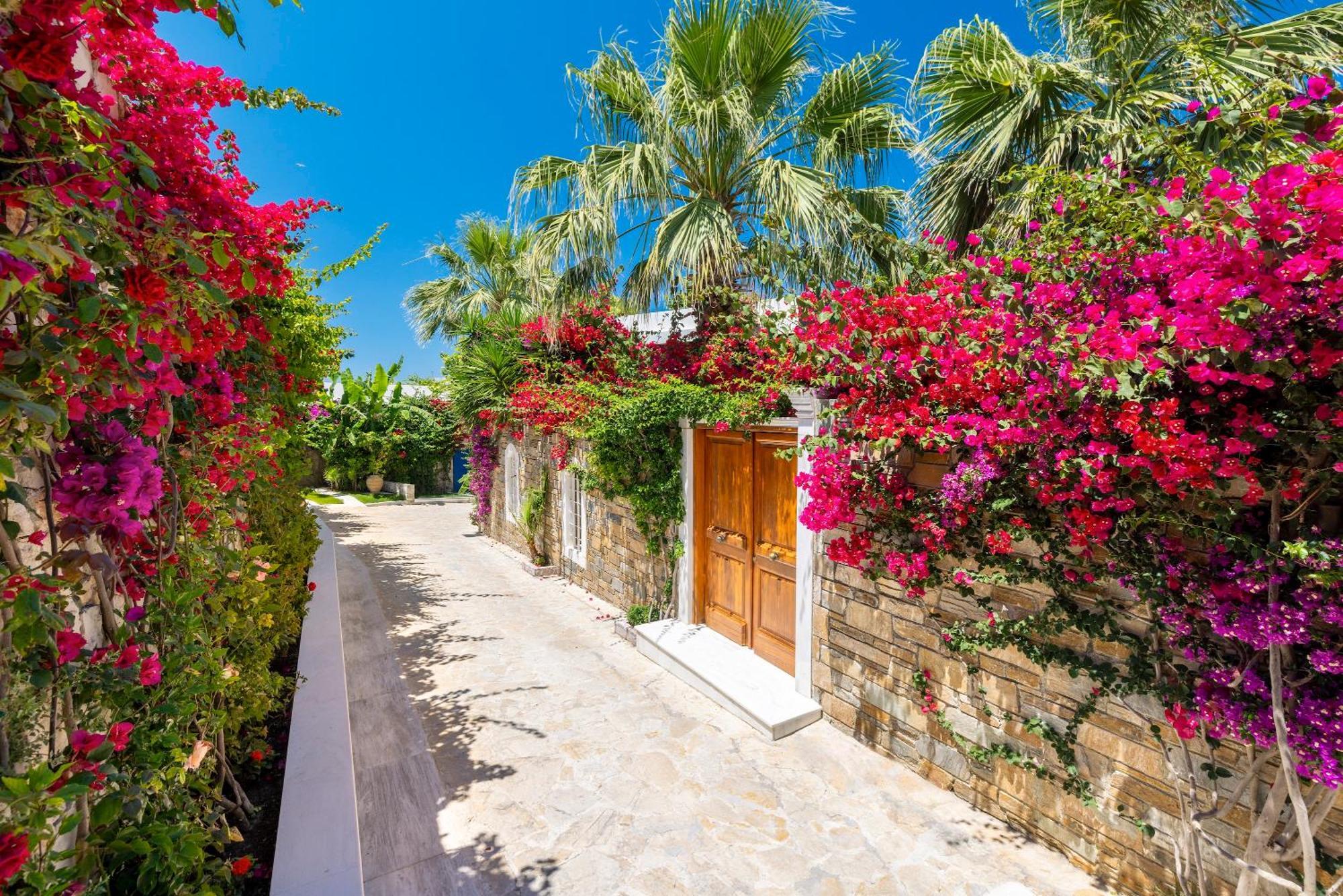 Porto Zante Villas And Spa Трагакі Екстер'єр фото